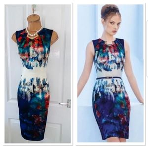Joseph Ribkoff colorful bodycon sleeveless sheath dress size 6.